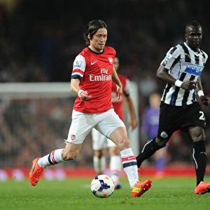 Rosicky Outpaces Tiote: Intense Moment from Arsenal vs. Newcastle United, Premier League 2013-2014