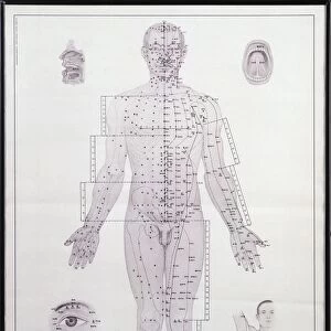 Acupuncture meridian chart