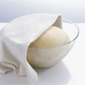 Ball-shaped dough in a bowl half covered with a cloth
