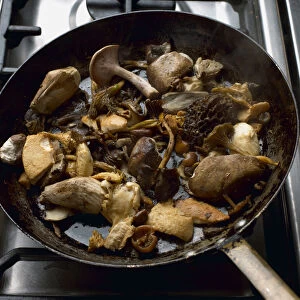 Fresh fungi in frying pan, including morels, blewits and boletes, close-up