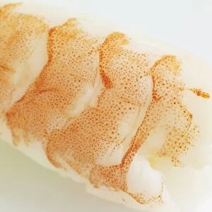 Prawn sushi, close-up
