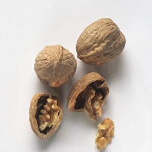 Two whole walnuts next to two halves