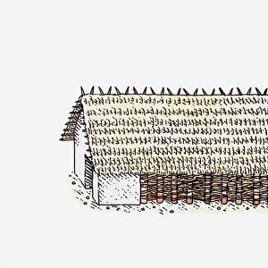 Cross section illustration of timber longhouse with thatched roof, Bylany, Moravia, Czech Republic