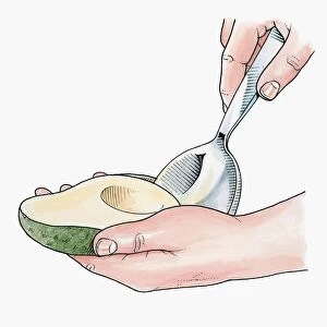 Illustration of using large spoon to remove avocado flesh from skin
