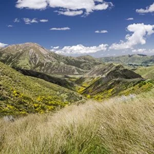 Mountains and grasslands, Craigieburn Range, Porters Pass, Canterbury Region, South Island, New Zealand