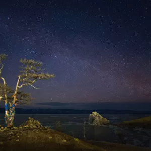 Sacred tree of Baikal lake at nigt