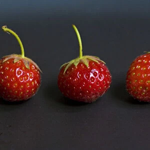 Three small strawberries in a row on black plate credit: Marie-Louise Avery / thePictureKitchen