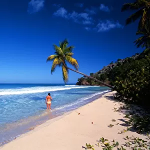T4. West Indies. Antigua. Girl on beach