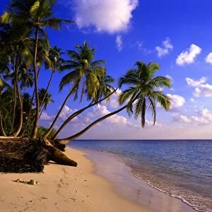 Tropical beauty. Maldives. Little Bandos island