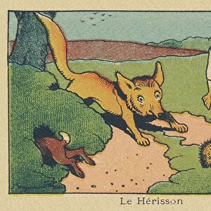 The arrival of the fox causes panic among hedgehogs, ducks, and rabbits. " The hedgehog", 1936 (illustration)