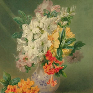 Azaleas, 19th century
