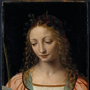 Bust length figure of saint, with a palm and reading the scriptures (oil on panel)