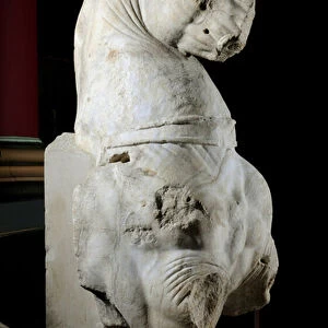 Front part of a horse (marble) (see also 371183 & 371184)