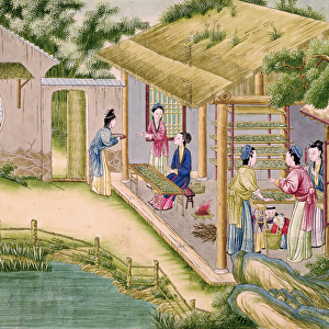 Ms 202 fol. 2 Learning about Silkworms, from a book on the silk industry (gouache