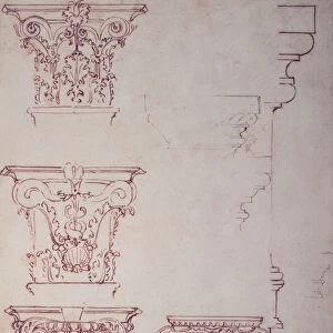 Studies for a Capital (brown ink)