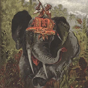 Tiger hunting in India (colour litho)
