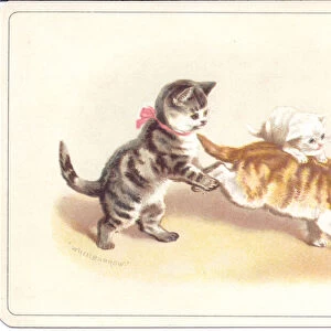 A Victorian card of two cats and a kitten playing wheelbarrow; c