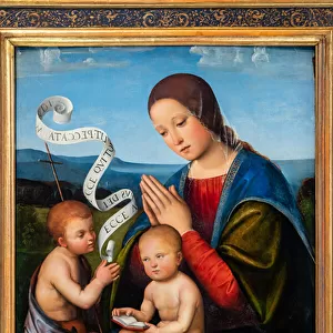 The Virgin Mary with Infant Jesus and Infant St. John, 1500-05 (oil on panel)