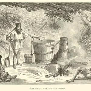 Wallachians distilling Plum Brandy (engraving)