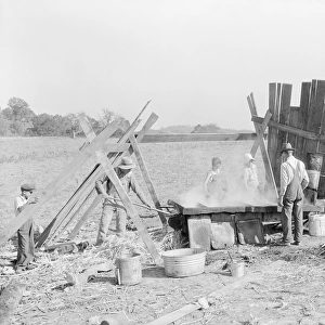 Method of making molasses on a farm, 1933