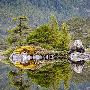 Lake surrounded by temperate rainforest, Campania Island, Great Bear Rainforest, British Columbia