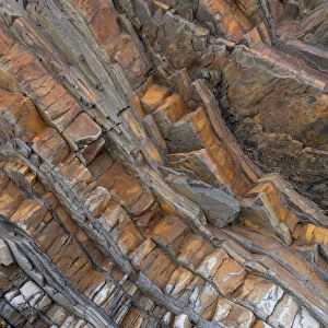 Tilted beds of Carboniferous age, Culm Measures (Bude Formation) sandstone and shale