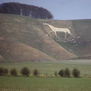 Cherhill White Horse (18th Century), Wiltshire, England, 20th century. Artist: CM Dixon