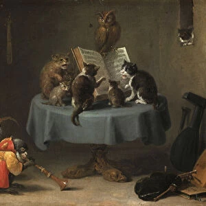 The Concert of Cats
