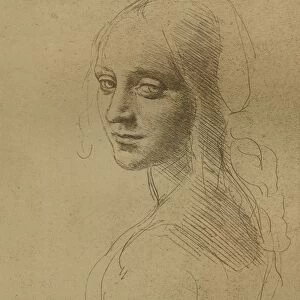 A female head, c1472-c1519 (1883), Artist: Leonardo da Vinci