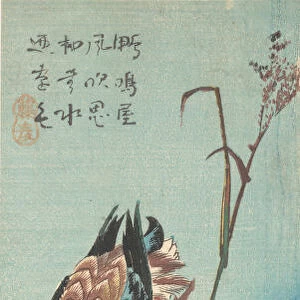 Mallard Ducks and Snow-covered Reeds, ca. 1843. ca. 1843. Creator: Ando Hiroshige
