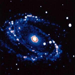 Spiral Galaxy M81 in constallation of Ursa Minor