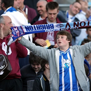 Brighton & Hove Albion vs. Birmingham City: A Thrilling 2012-13 Home Game