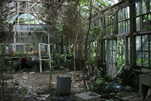 Abandoned greenhouse, National Taiwan University, Taipei, Taiwan Abandoned greenhouse, National Taiwan University, Taipei, Taiwan