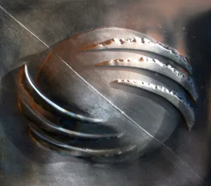 Abstract - claw