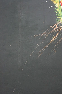 Paint Prints: Abstract - paint