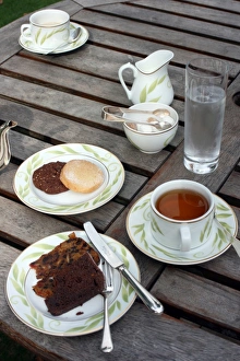 Tea cup