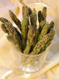 Vege Table Prints: Asparagus