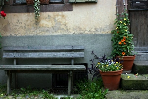 Flower Prints: Bench and flowers