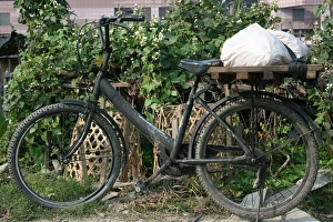 Transport Prints: Bicycle in Taipei garden, Taiwan