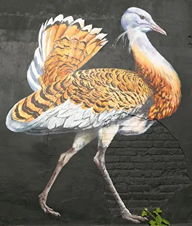 Bird on the wall