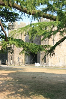 Somerset Prints: Bishops Palace, Wells Cathedral, Wells, Somerset, UK