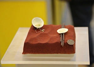 Chocolate cake at the Taipei Bakery Show 2014