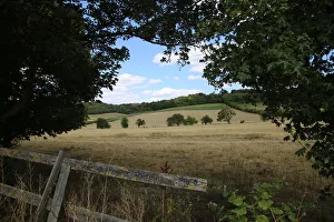 Bucks Prints: English countryside Chilterns Hambledon UK