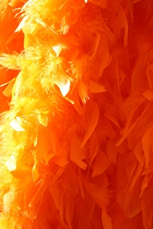 Feather