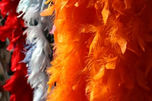 Abstract Prints: Feather