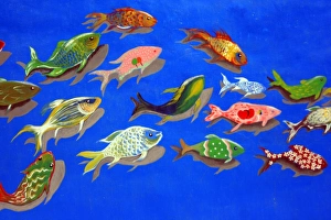 Fish swimming