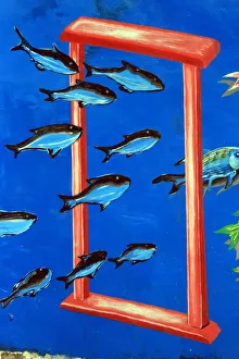 Fish swimming through a frame