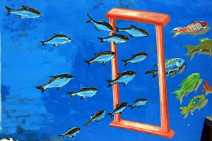 Abstract Prints: Fish swimming through a frame
