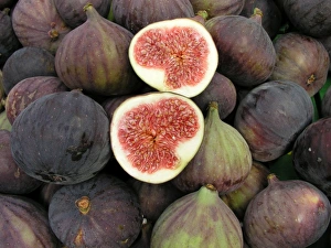 Fruit Prints: Fresh figs