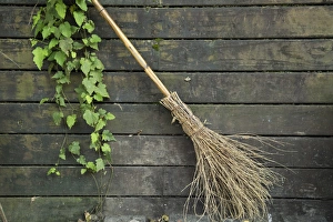 Green Prints: garden, horticulture, leaf, leaves, vine, ivy, plant, green, fence, panel, wood, broom